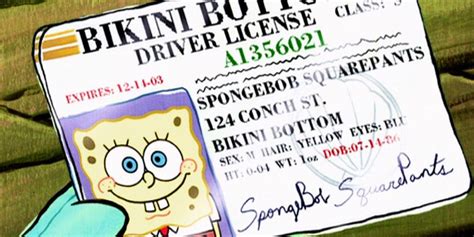 how old is spongebob squarepants age.